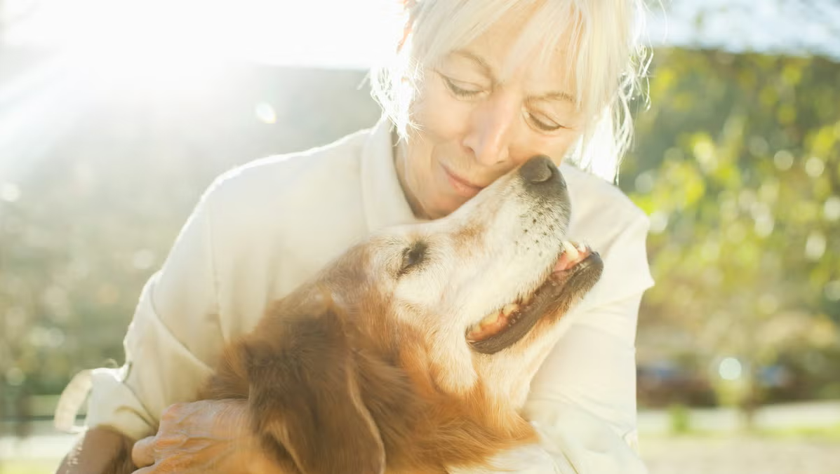Pet Loss Gifts That Offer Comfort and Healing