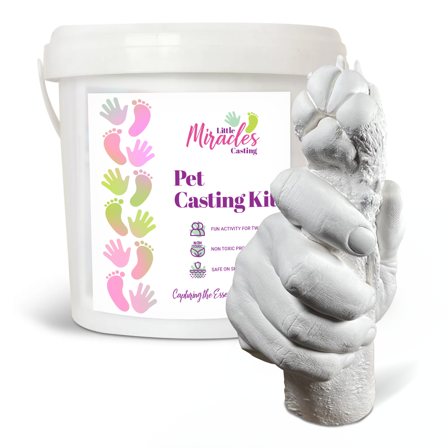 Dog paw print casting kit online