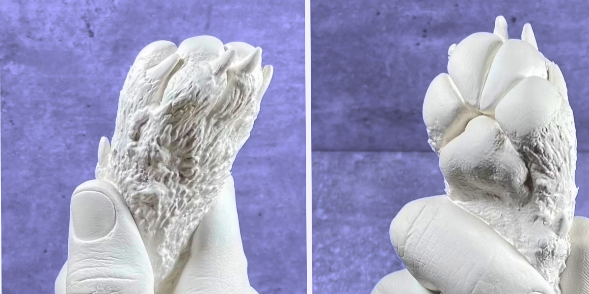 Capturing memories forever: The joy of hand and paw casting - Little Miracles Casting