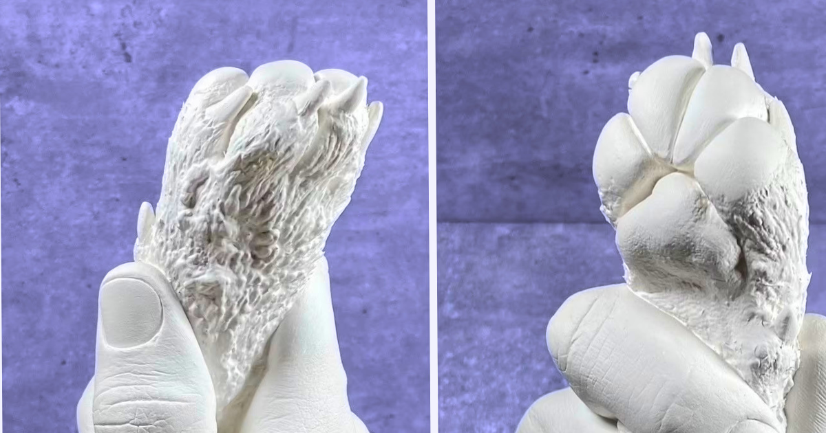 Capturing memories forever: The joy of hand and paw casting - Little Miracles Casting