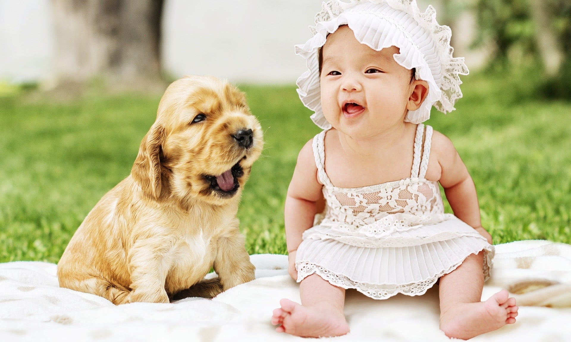 Is Alginate safe for skin? A complete guide for baby hands, feet and paws - Little Miracles Casting