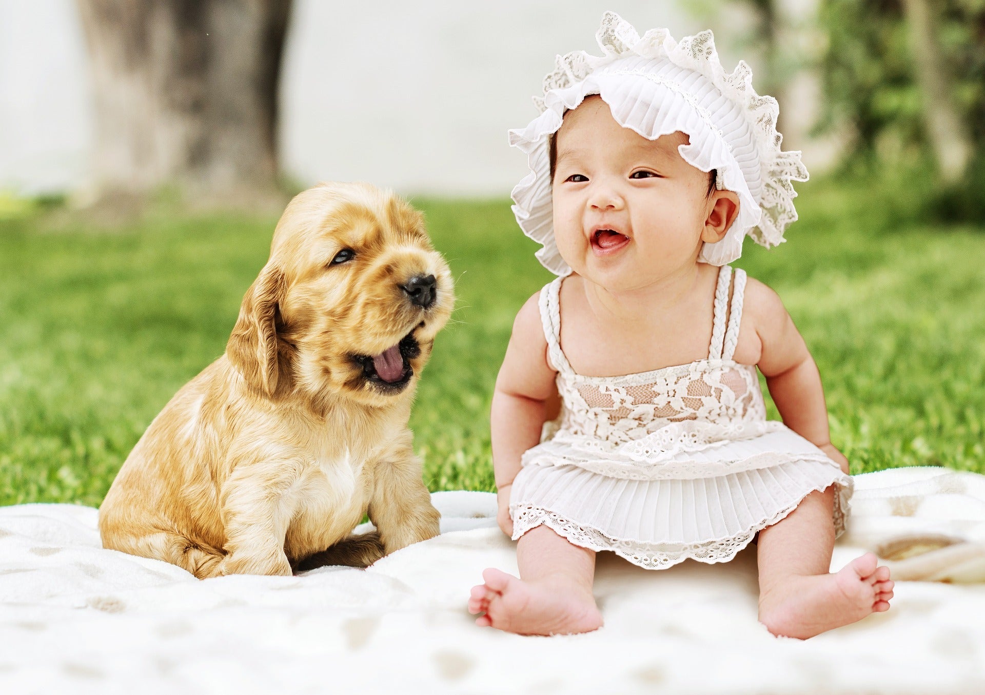 Is Alginate safe for skin? A complete guide for baby hands, feet and paws - Little Miracles Casting