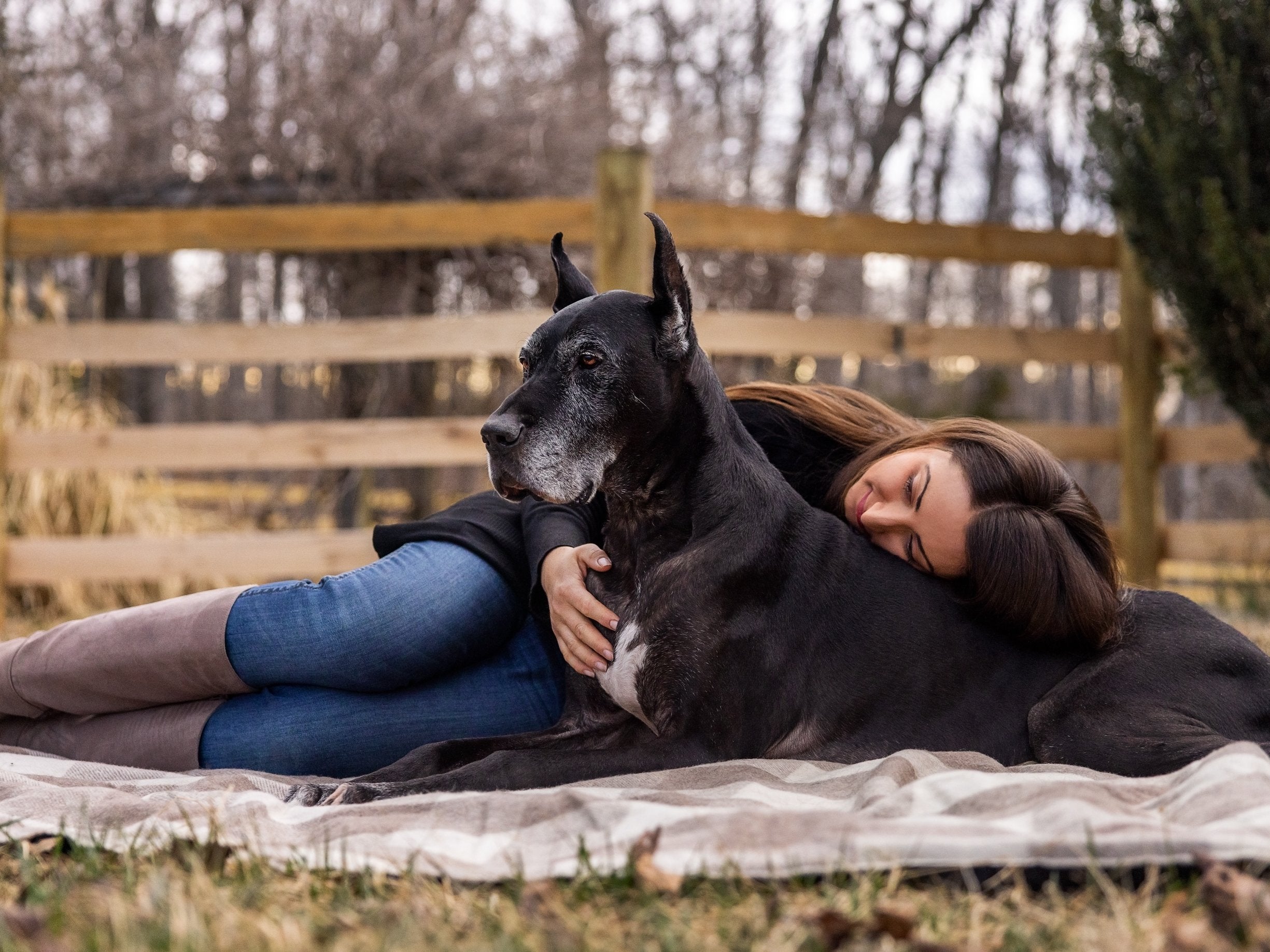 Preserve Your Dogs Paw Print Forever