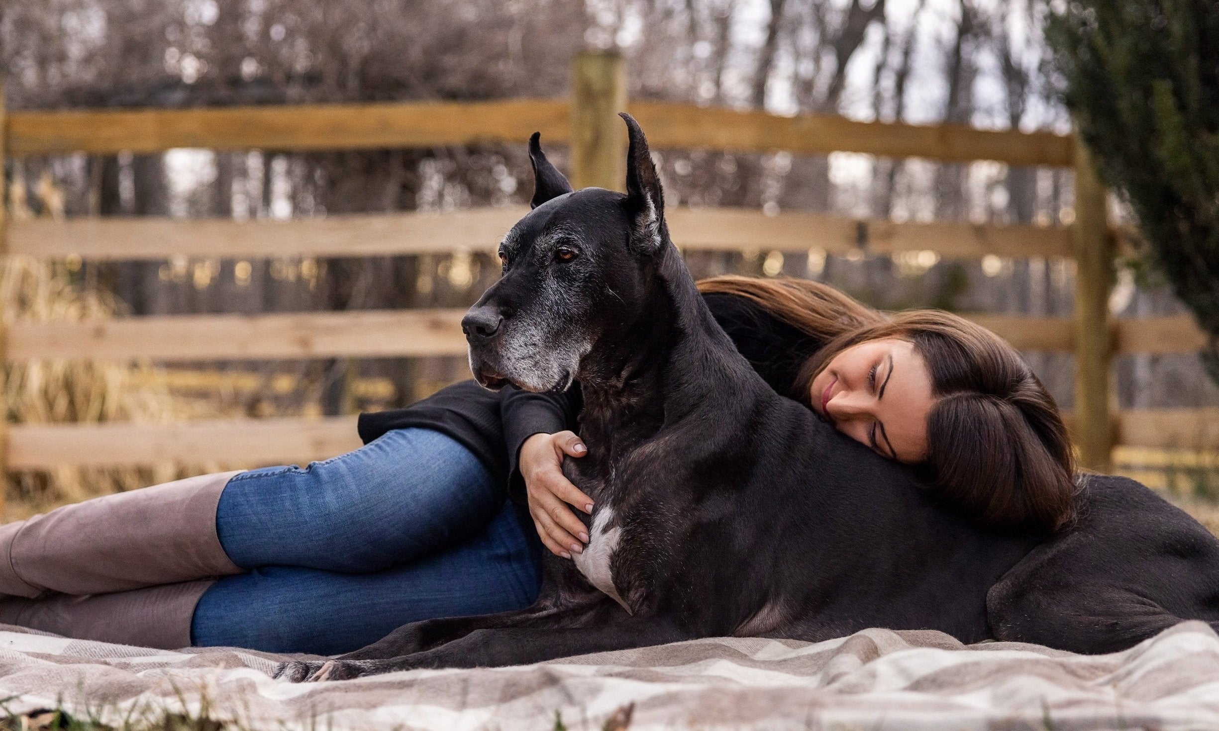 Preserve your dogs paw print forever - Little Miracles Casting