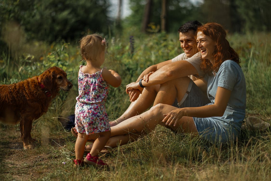 Pet, couples and baby hand casting kits