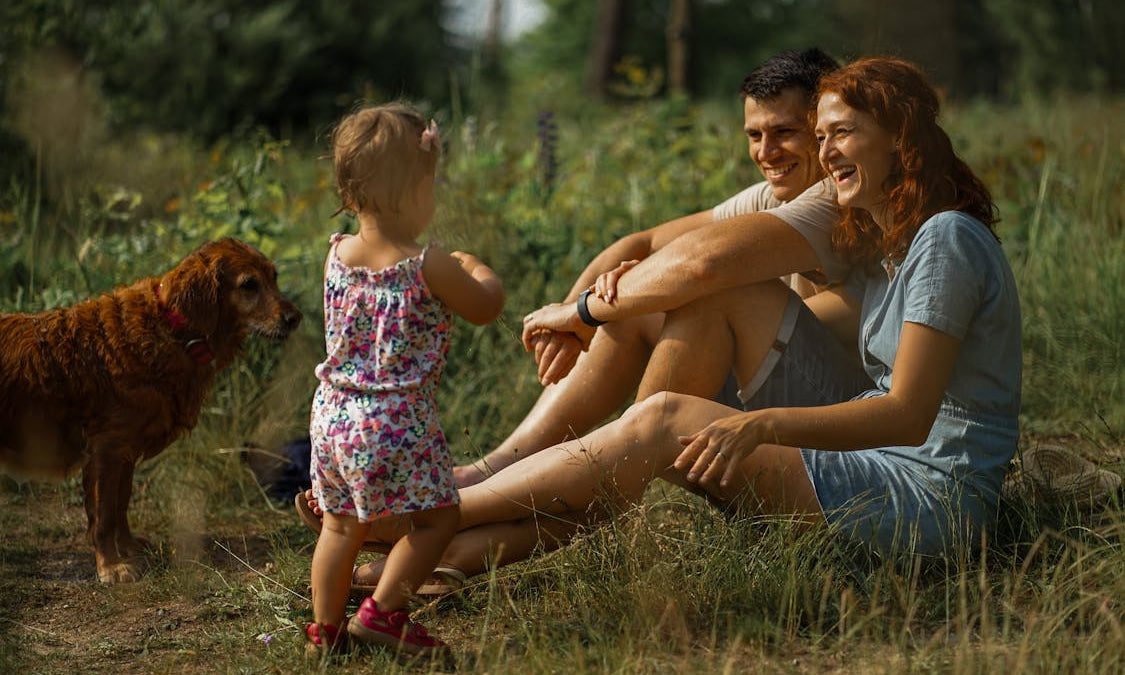 Pet, couples and baby hand casting kits